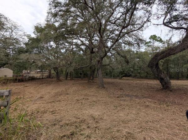 ROLLING WOODS 4 SEC 2