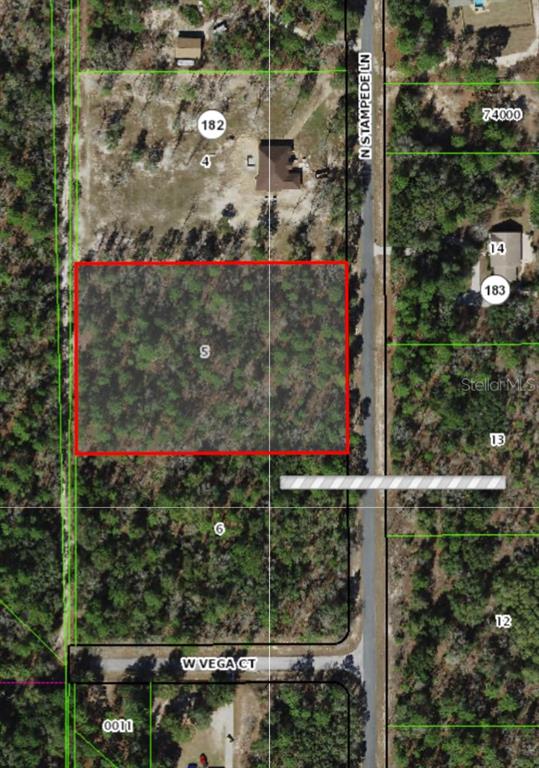 PINE RIDGE UNIT 02 - фото