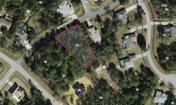 CAMBRIDGE GREENS CITRUS HILLS