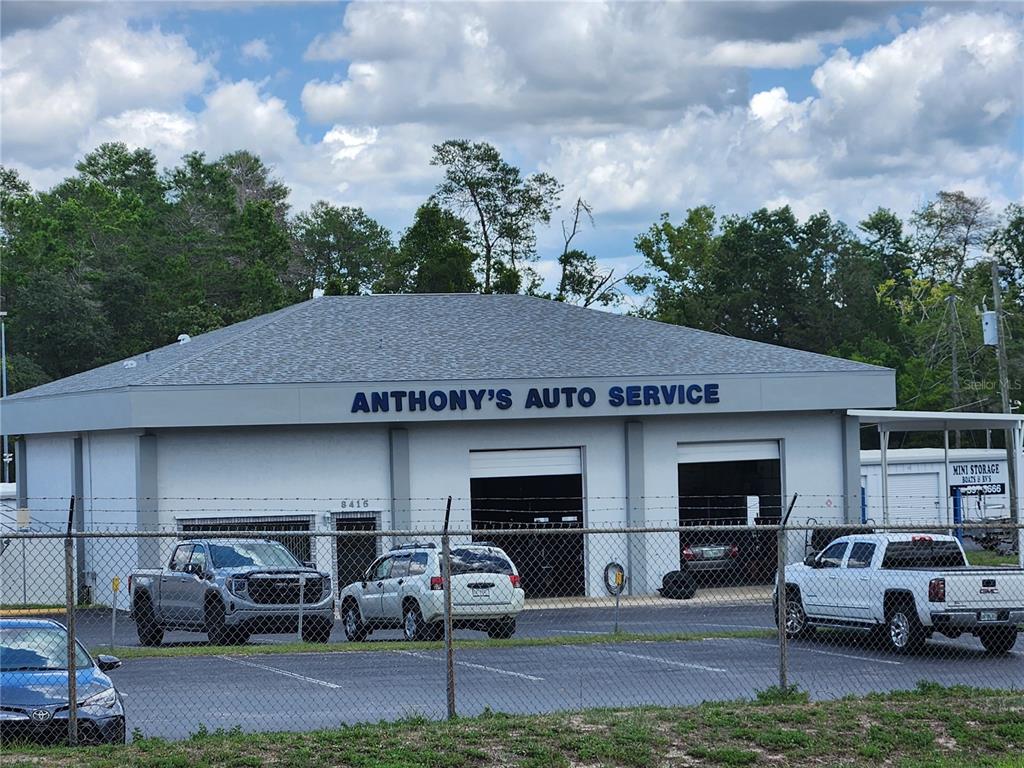 WEEKI WACHEE HILLS - фото