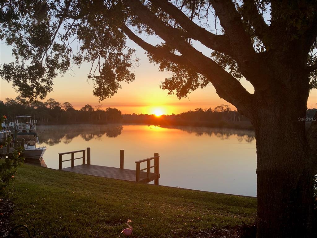 THE BAY VILLAS - фото