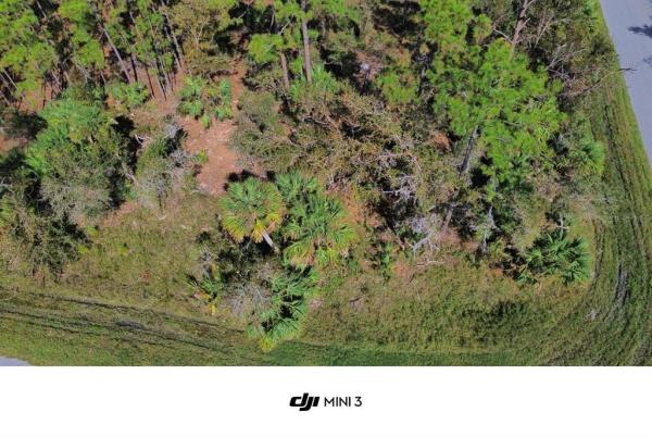 PORT CHARLOTTE SEC 022