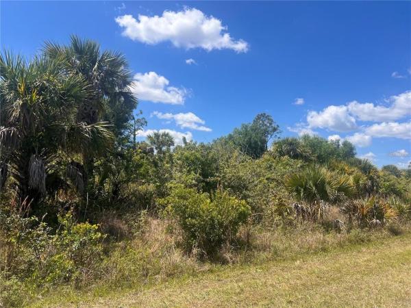 PORT CHARLOTTE SUB 46