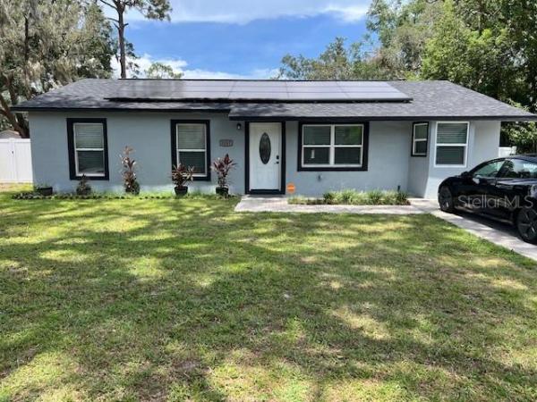 MOUNT DORA PINELAND SUB