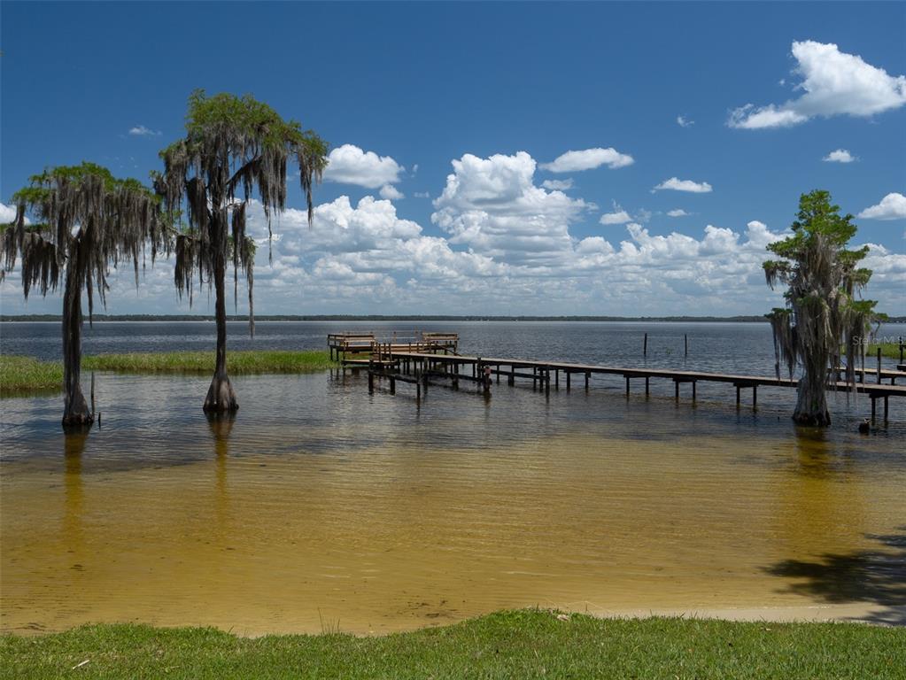 BRISTOL HARBOUR REP - фото