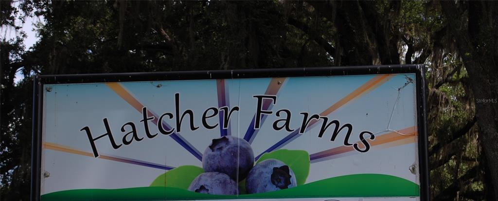 LOCHLOSSA FARMS - фото