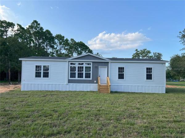 MONEYTREE RANCHETTES SUB