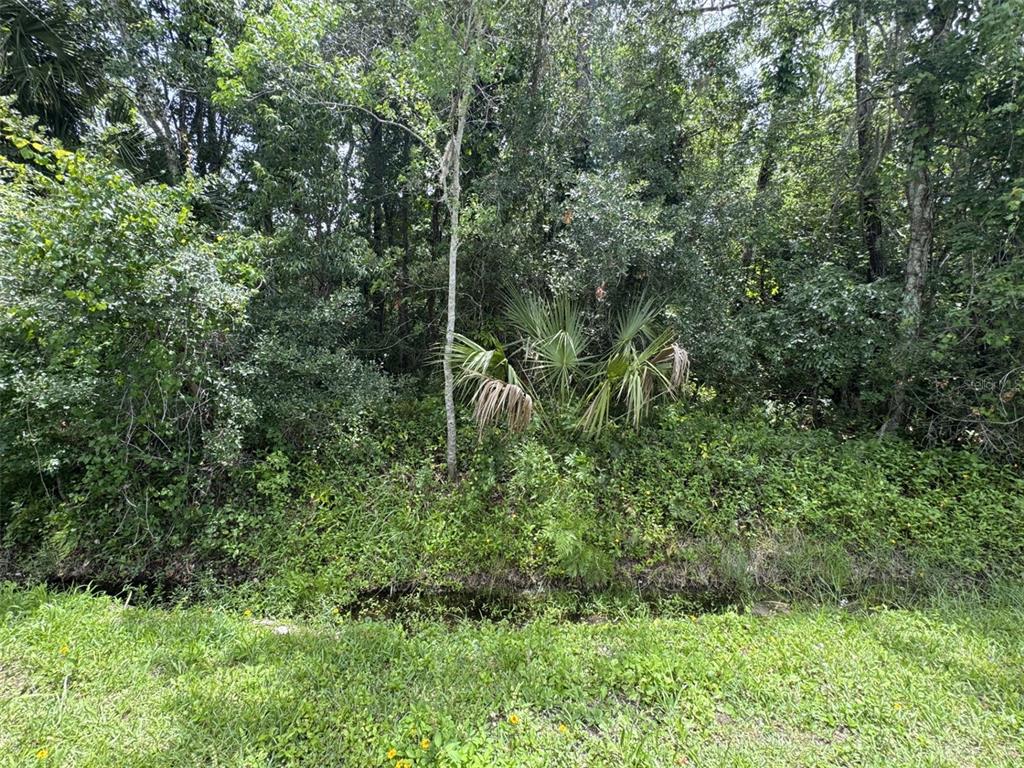 EAST ORLANDO ESTATES - фото