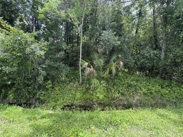 EAST ORLANDO ESTATES