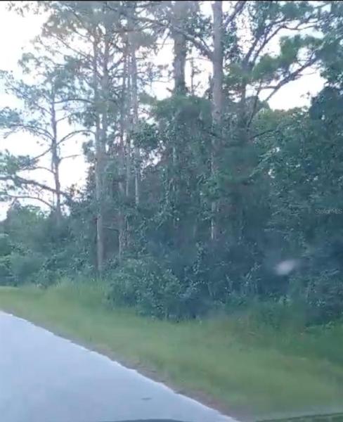 ORANGE BLOSSOM ESTATE