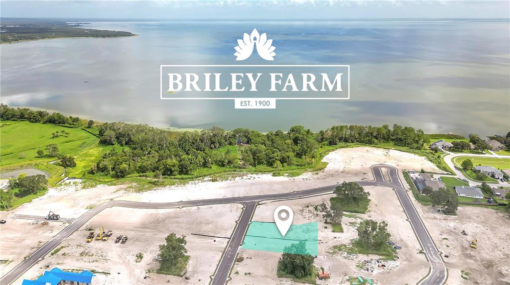 BRILEY FARM - фотография BRILEY FARM - фото