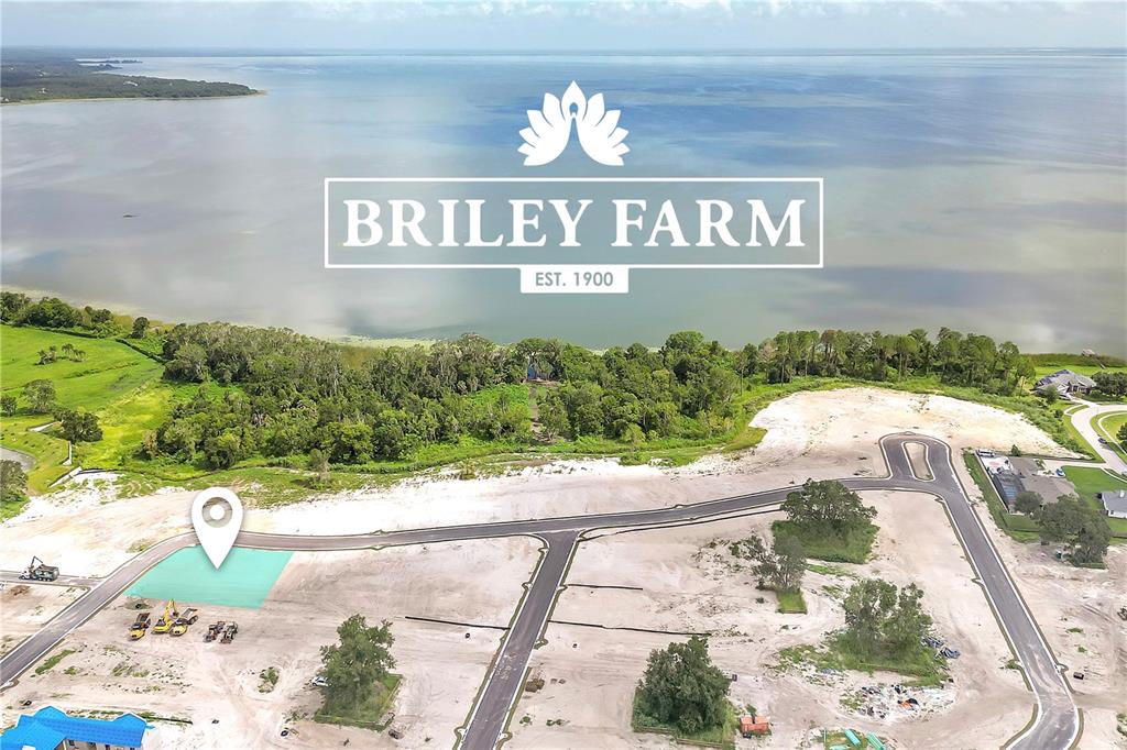 BRILEY FARM - фотография BRILEY FARM - фото