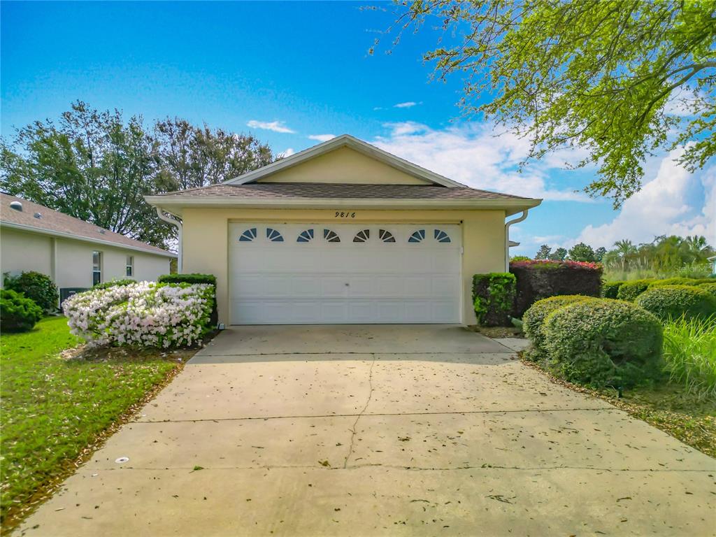 ON TOP OF THE WORLD - фото