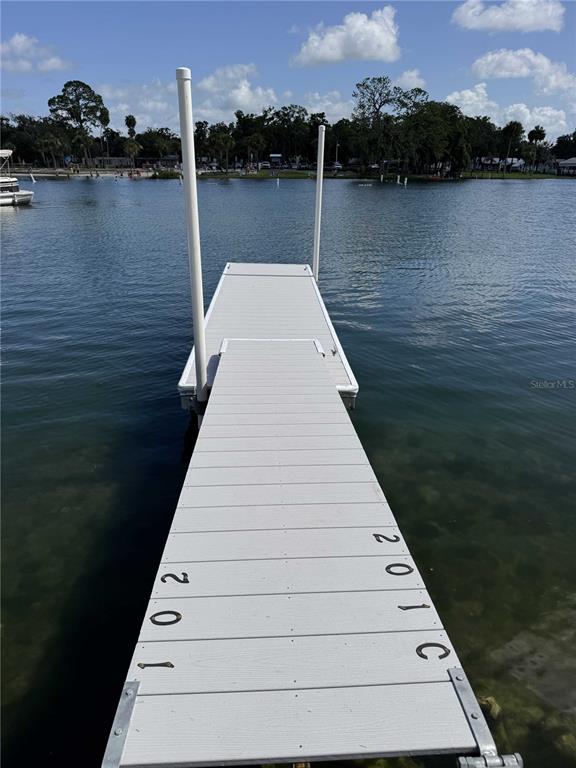 MAGNOLIA LODGE ESTATES CONDO - фото