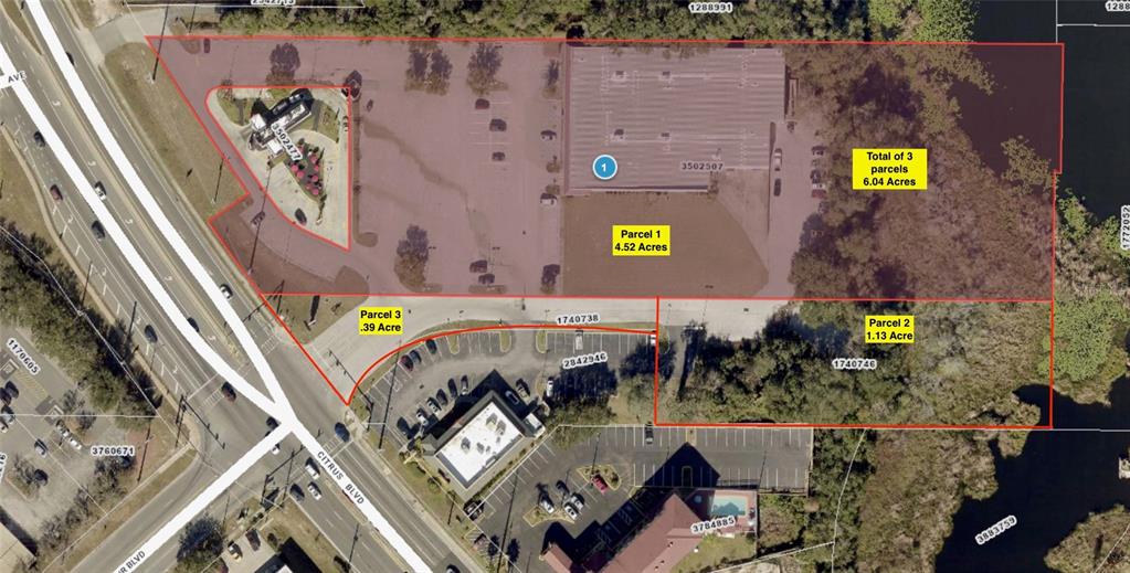 LEESBURG BLANMAY - фото