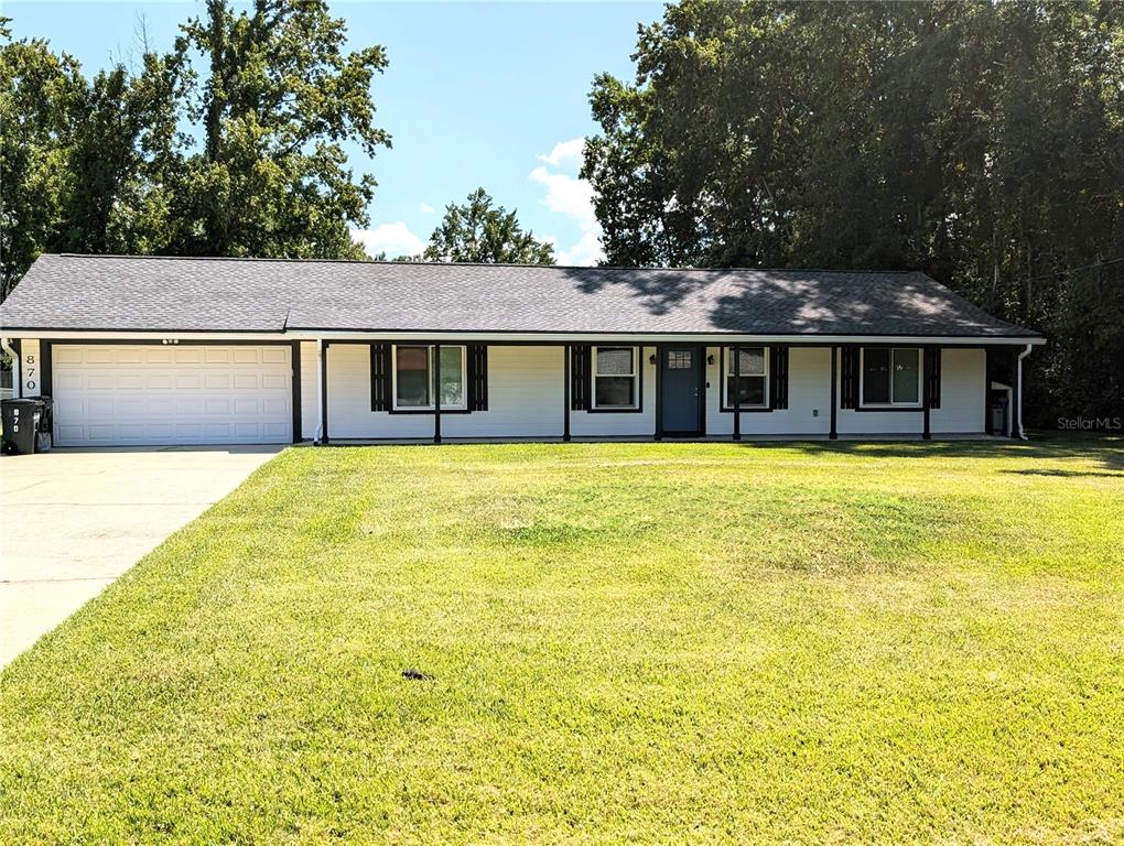 HIBERNIA FOREST - фото