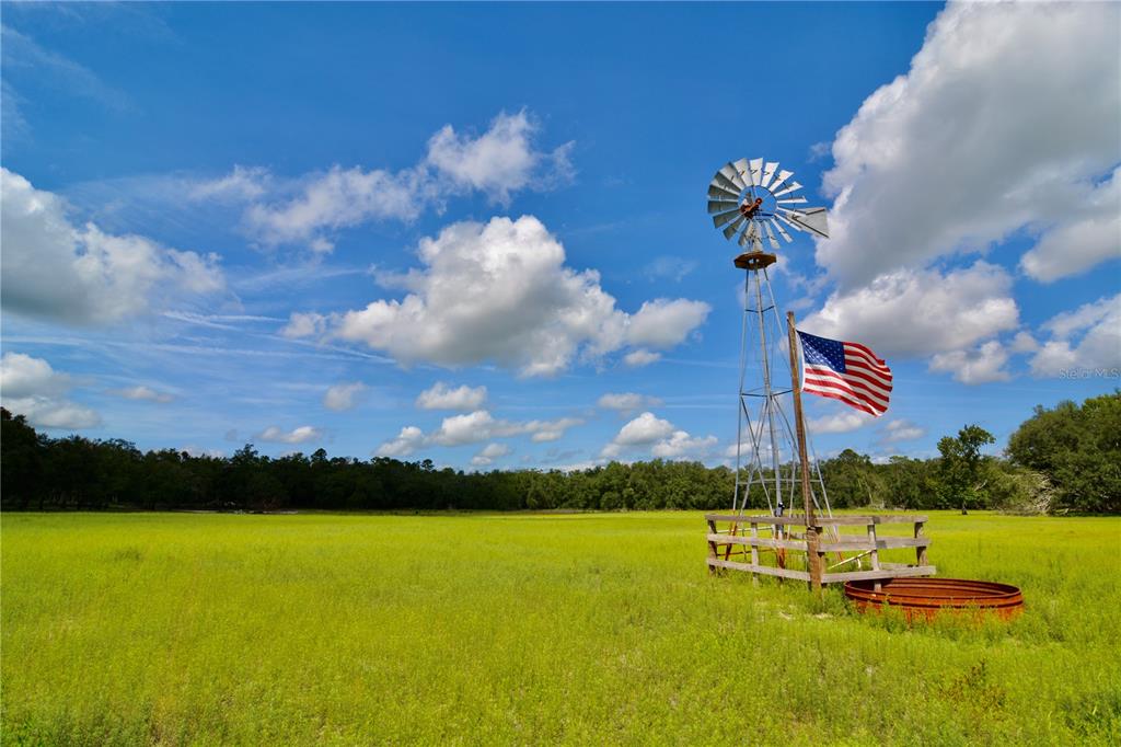 ROLLING PINES - фото
