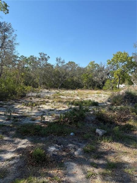 POINCIANA NBRHD 02 WEST VILLAGE 07