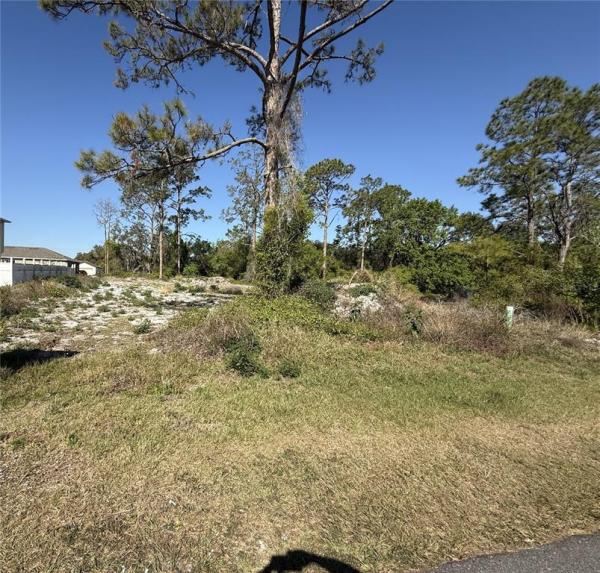 POINCIANA NBRHD 02 WEST VILLAGE 07