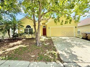 CYPRESS SHADOWS - фото