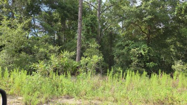 LAKE TROPICANA RANCHETTES