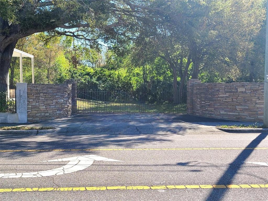 UNPLATTED - фото