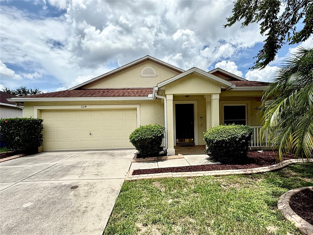 BRANDON BROOK PH VII - фото