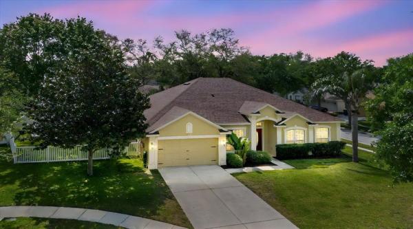 PANTHER TRACE PH 1B/1C