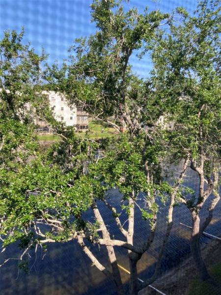 TERRACE PARK OF FIVE TOWNS