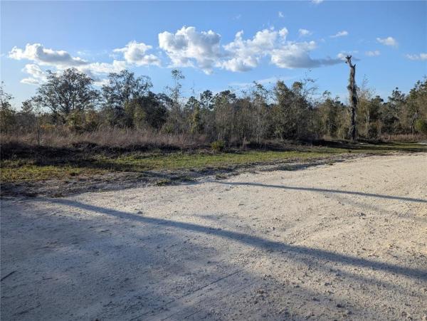 FOREST PARK UNIT 3 PH I