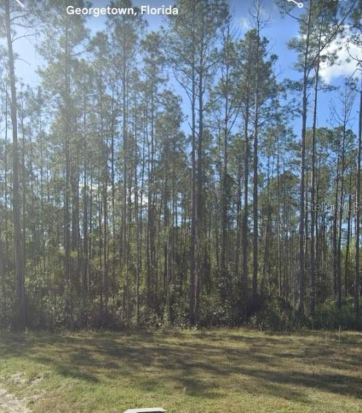 PLANTATION PINES II WHISPERING PINES