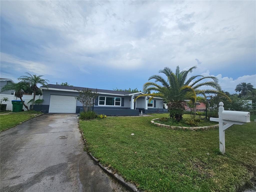 KENNETH CITY - фото