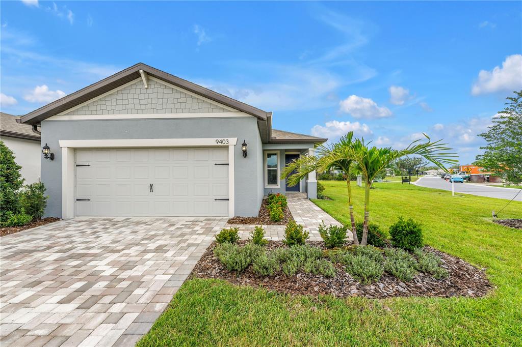 Single Family - фото