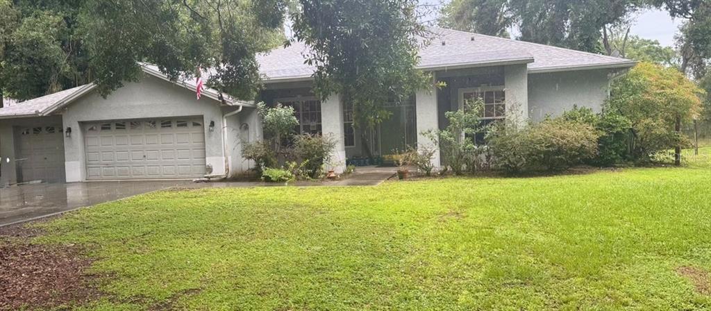 ROSA WOODS - фото