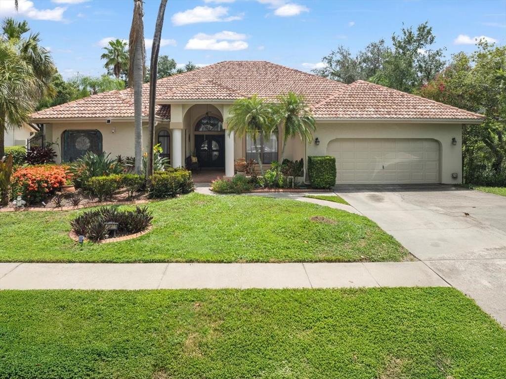 VILLAGE WOOD - фото