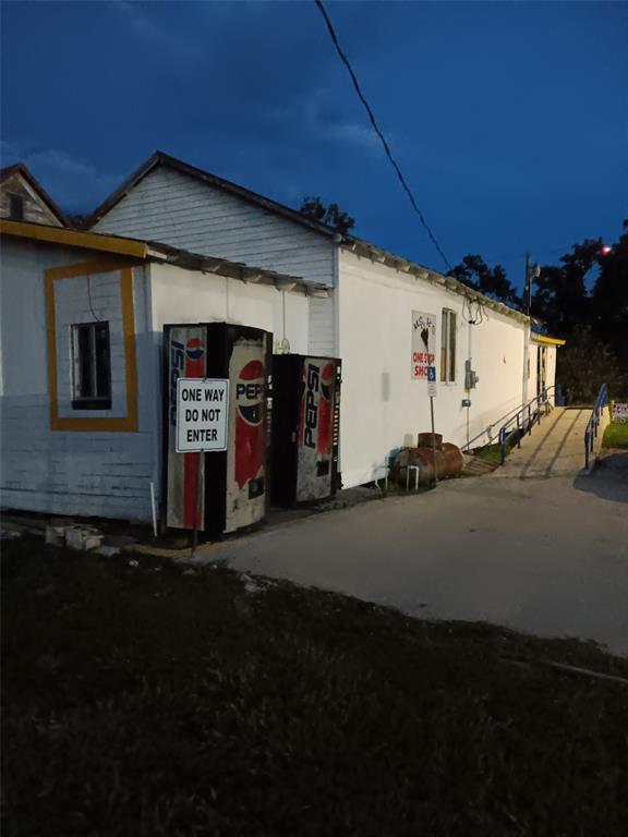 LIVE OAK DESC - фото