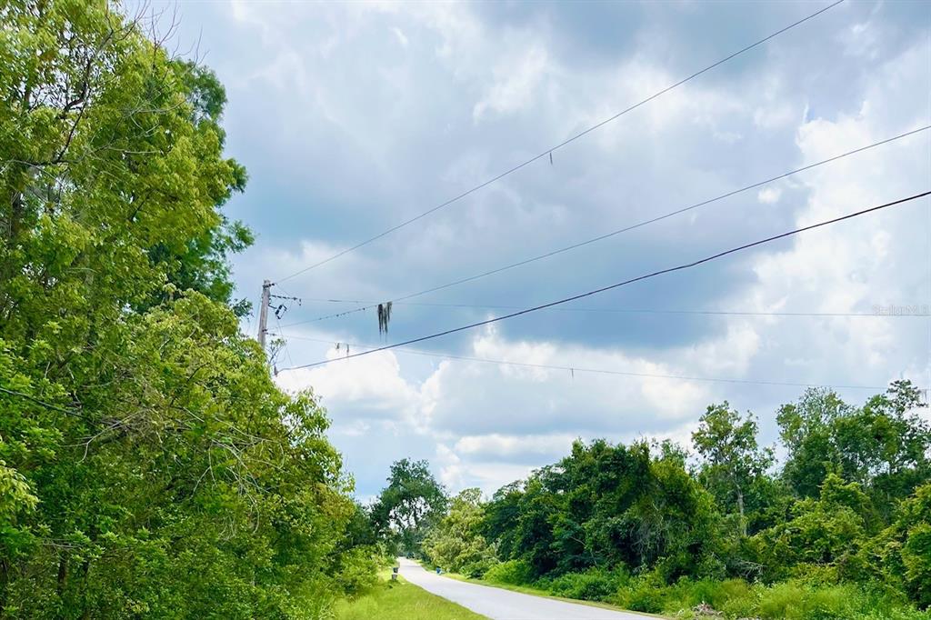 UNPLATTED - фото