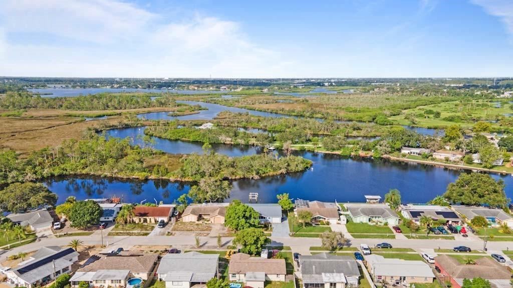 FOREST HILLS - фото