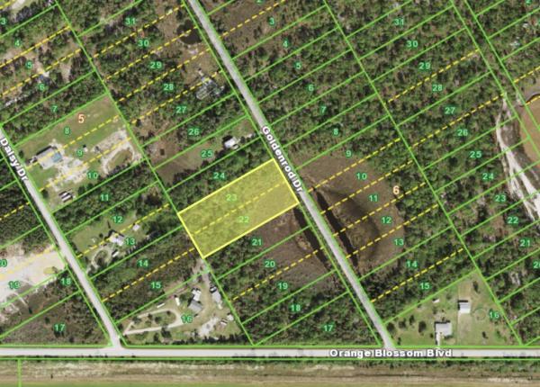 ORANGE GROVE PARK PT 01