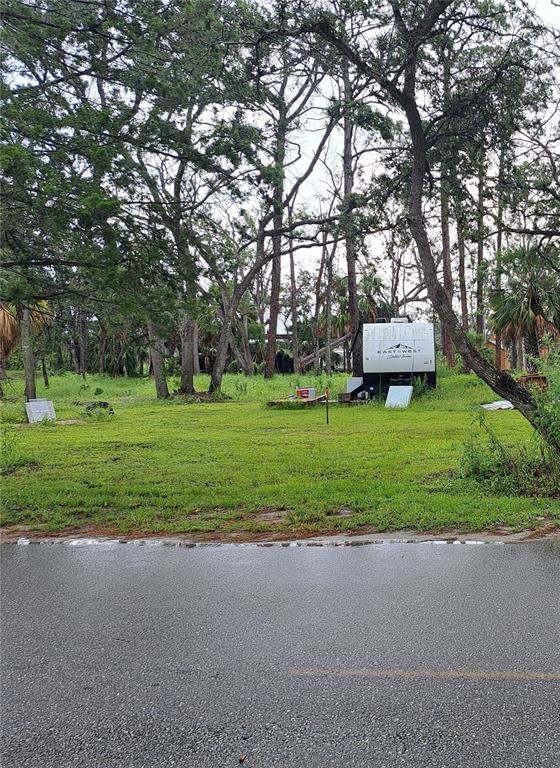 STEINHATCHEE SUB - фото