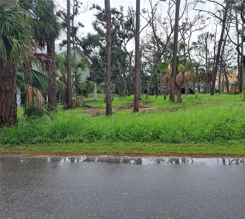 STEINHATCHEE SUB - фото