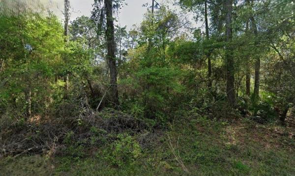 CRESCENT SHORES HEIGHTS