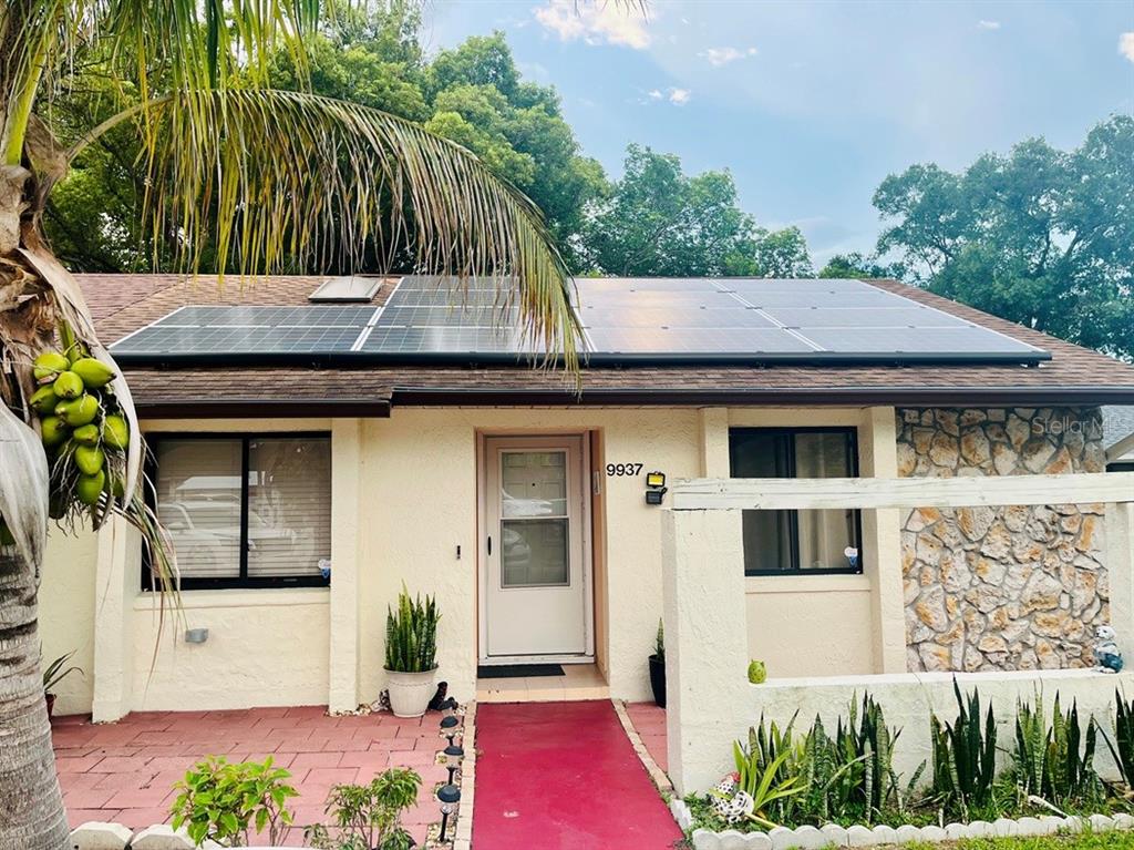 RIVERWOOD - фото