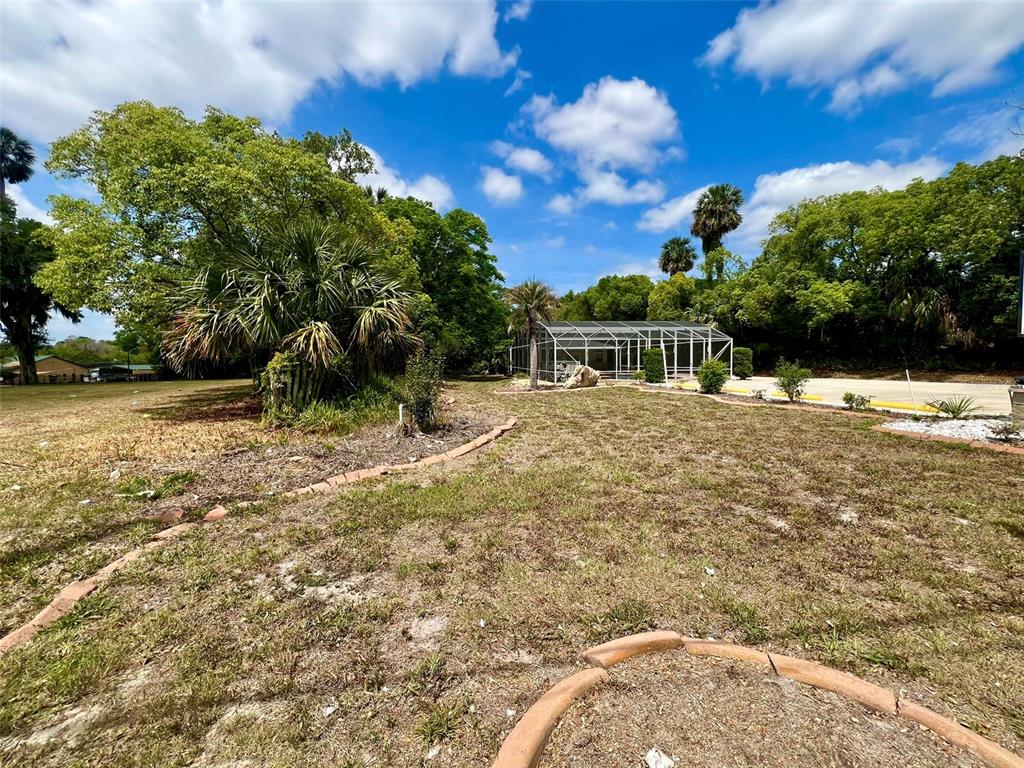 ORANGE CITY - фото