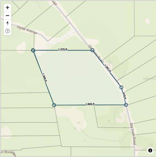 DELTONA LAND & TIMBER #P