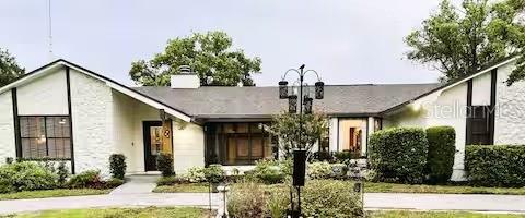 ROBINWOODS - фото