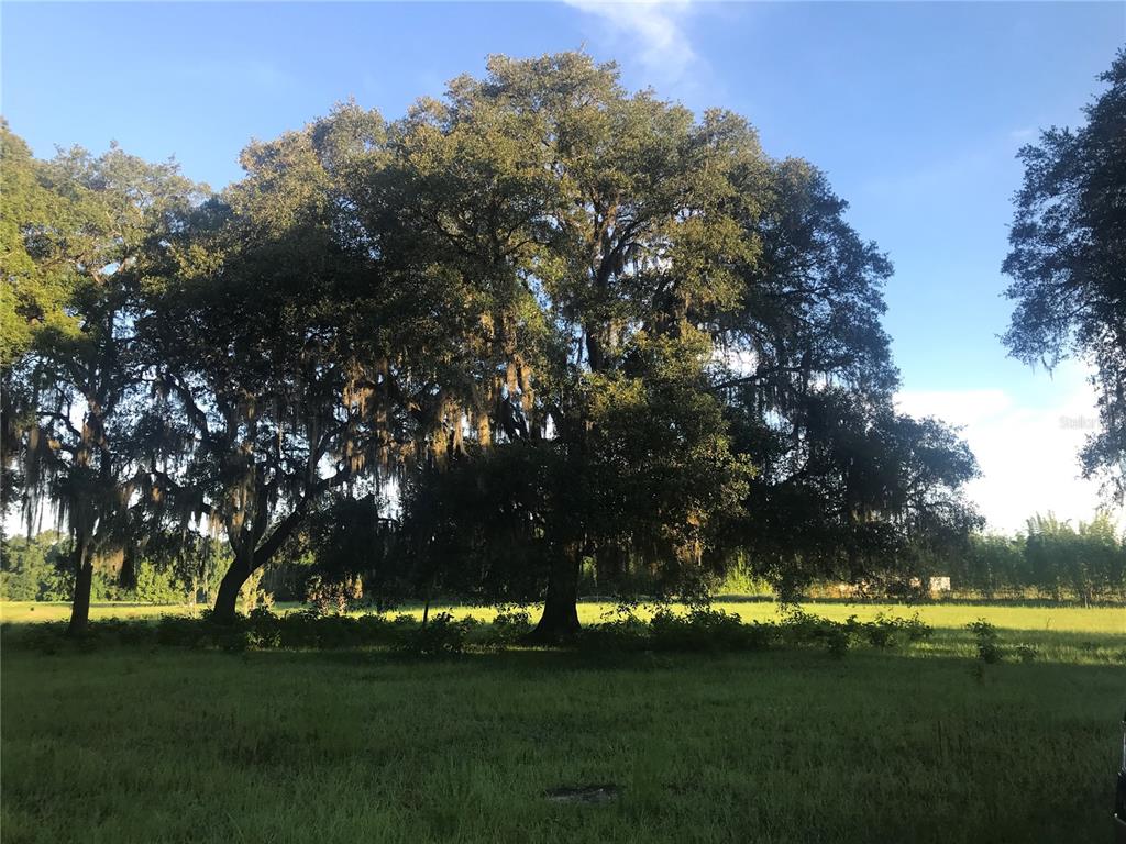 WETHERINGTON ACRES - фото