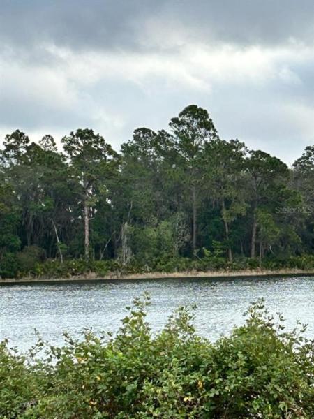 SILVER SPRINGS SHORES UNIT 31