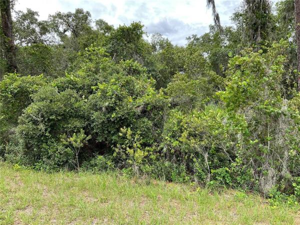 SILVER SPGS SHORES UN 31