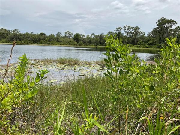 SILVER SPRINGS SHORES UNIT 31